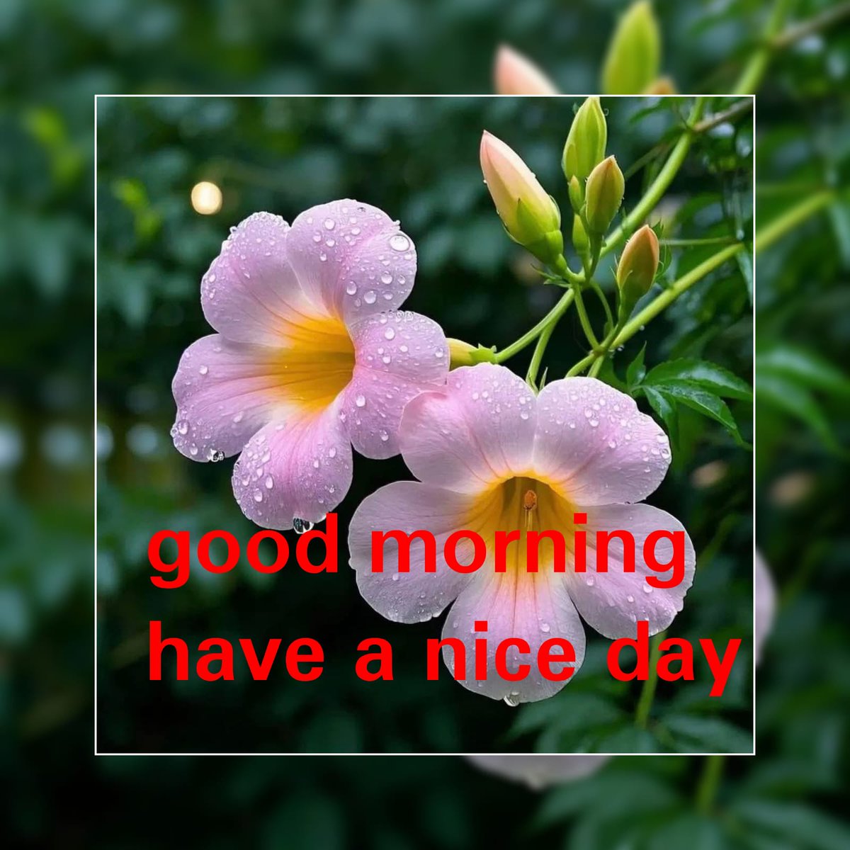 WinzWeb's tweet photo. @LizaRosen0000 https://t.co/3Y5yeYDCpZ