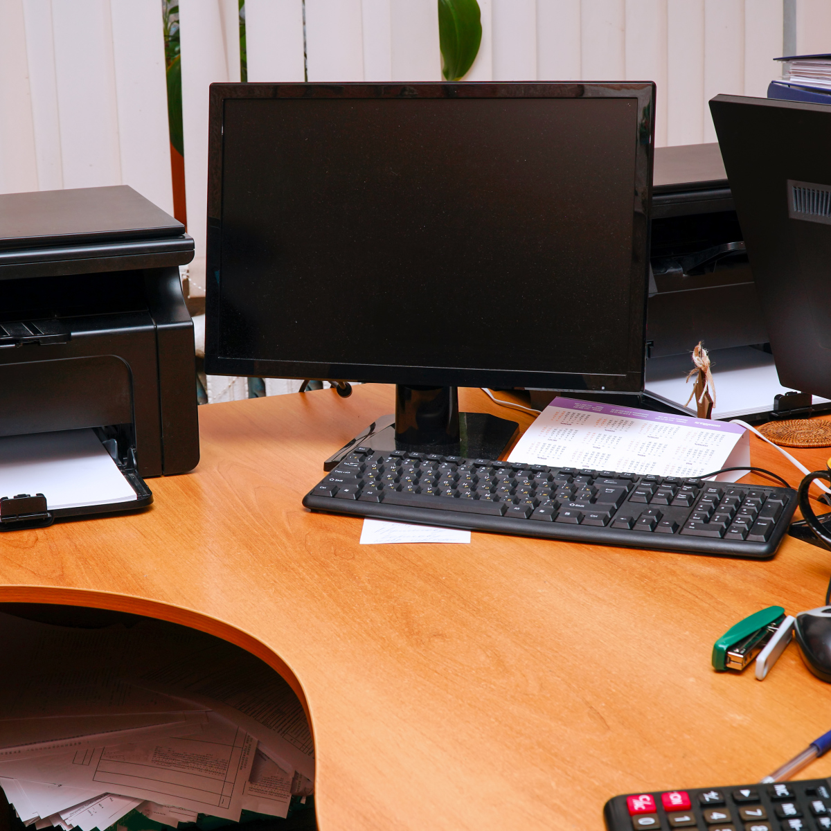 Boddy PIawuiek tweet media