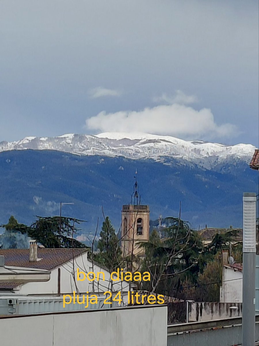 Lola Mas Arjant tweet media