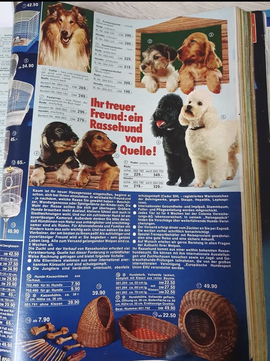 Die RetroKiste - das Original tweet media