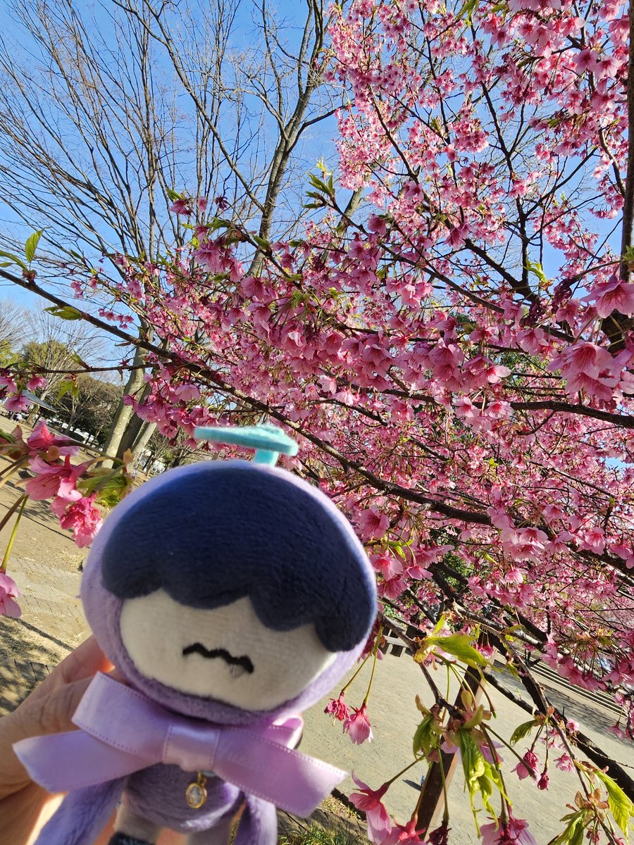 🐧nel🐧 tweet media