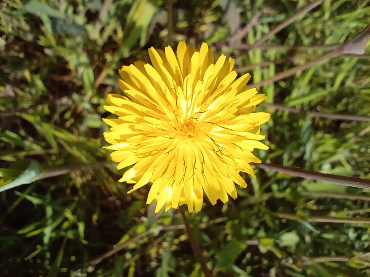Arnau Cabeza Garrido tweet media