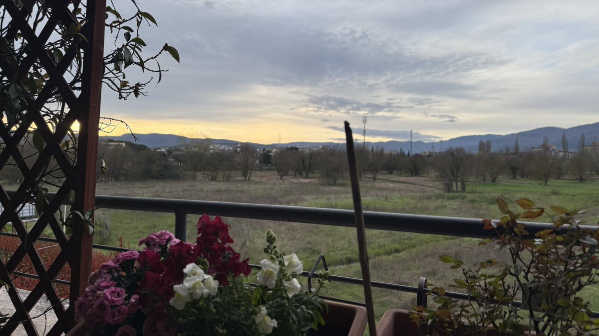 gennaro landolfi tweet media