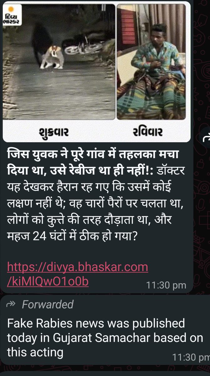 Dilthi Gujarati tweet media