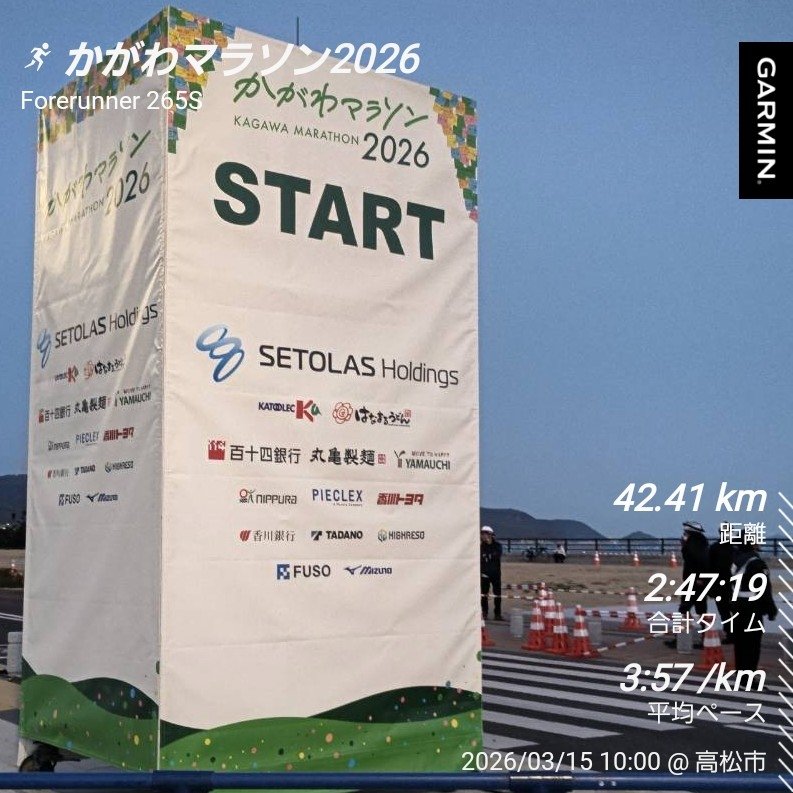 マル☆ケンＧ tweet media