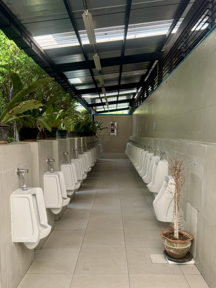 Sunny BKK Dude 🇹🇭 🏝️🎵 tweet media