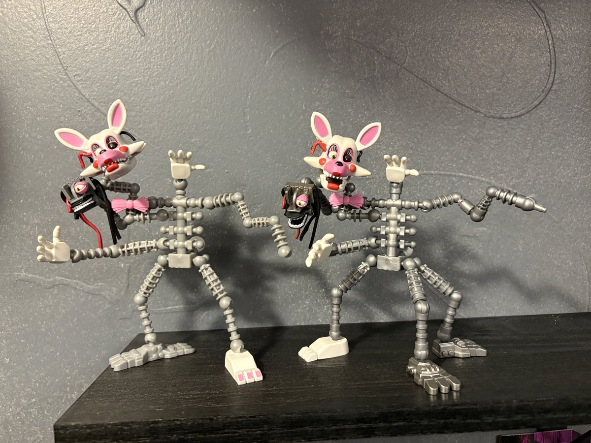 M.R. Springs 🐢🐇 tweet media