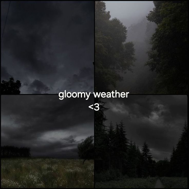 👻 𝘯𝑎𝘵𝑢𝘳𝑒 👻 tweet media