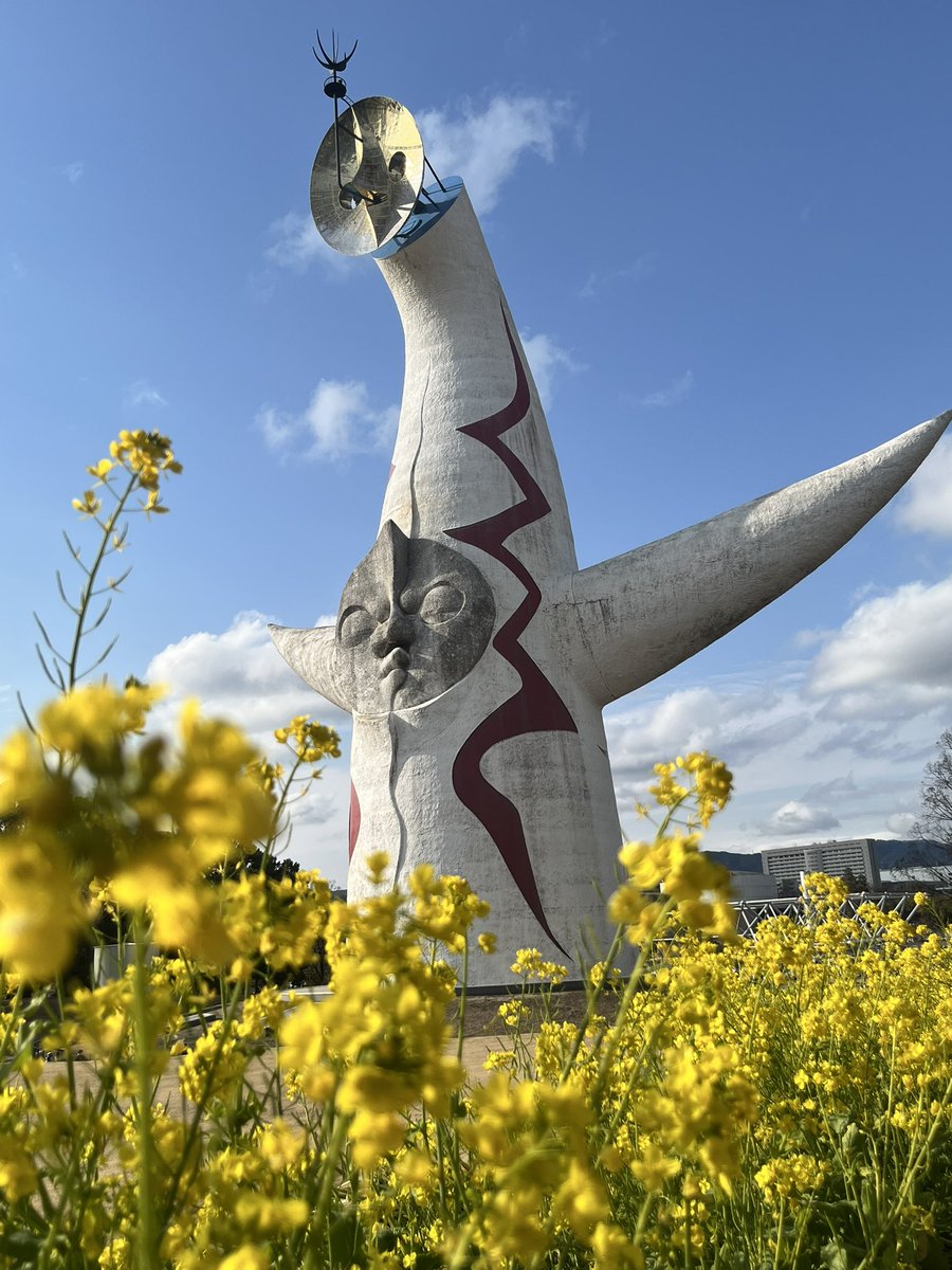 ゆーこ tweet media