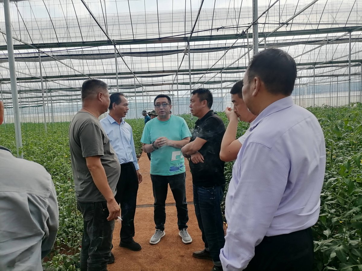 金融AguaI tweet media