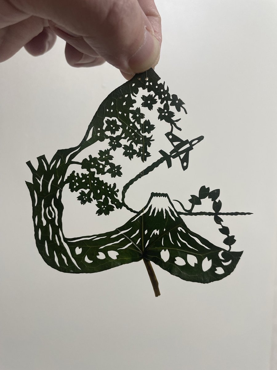 Rui@leafworld tweet media