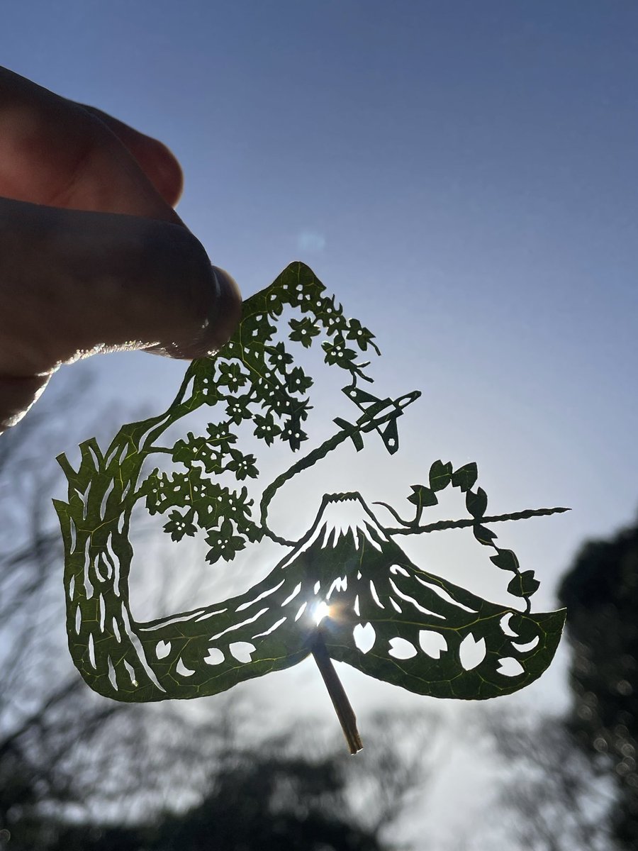 Rui@leafworld tweet media