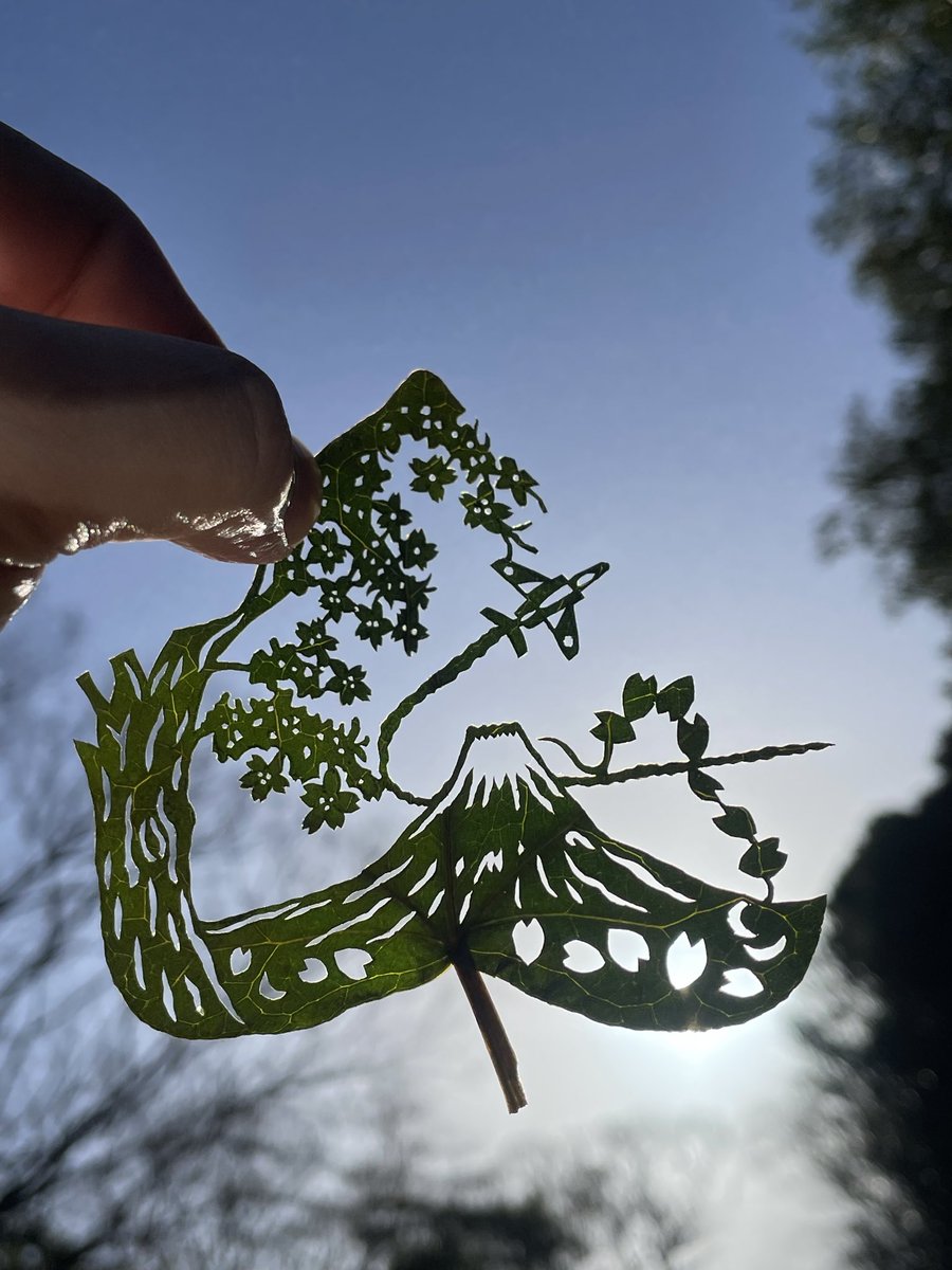 Rui@leafworld tweet media