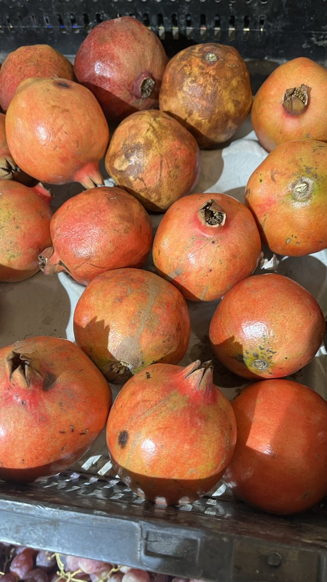 Prasenjit Singh Roy. tweet media