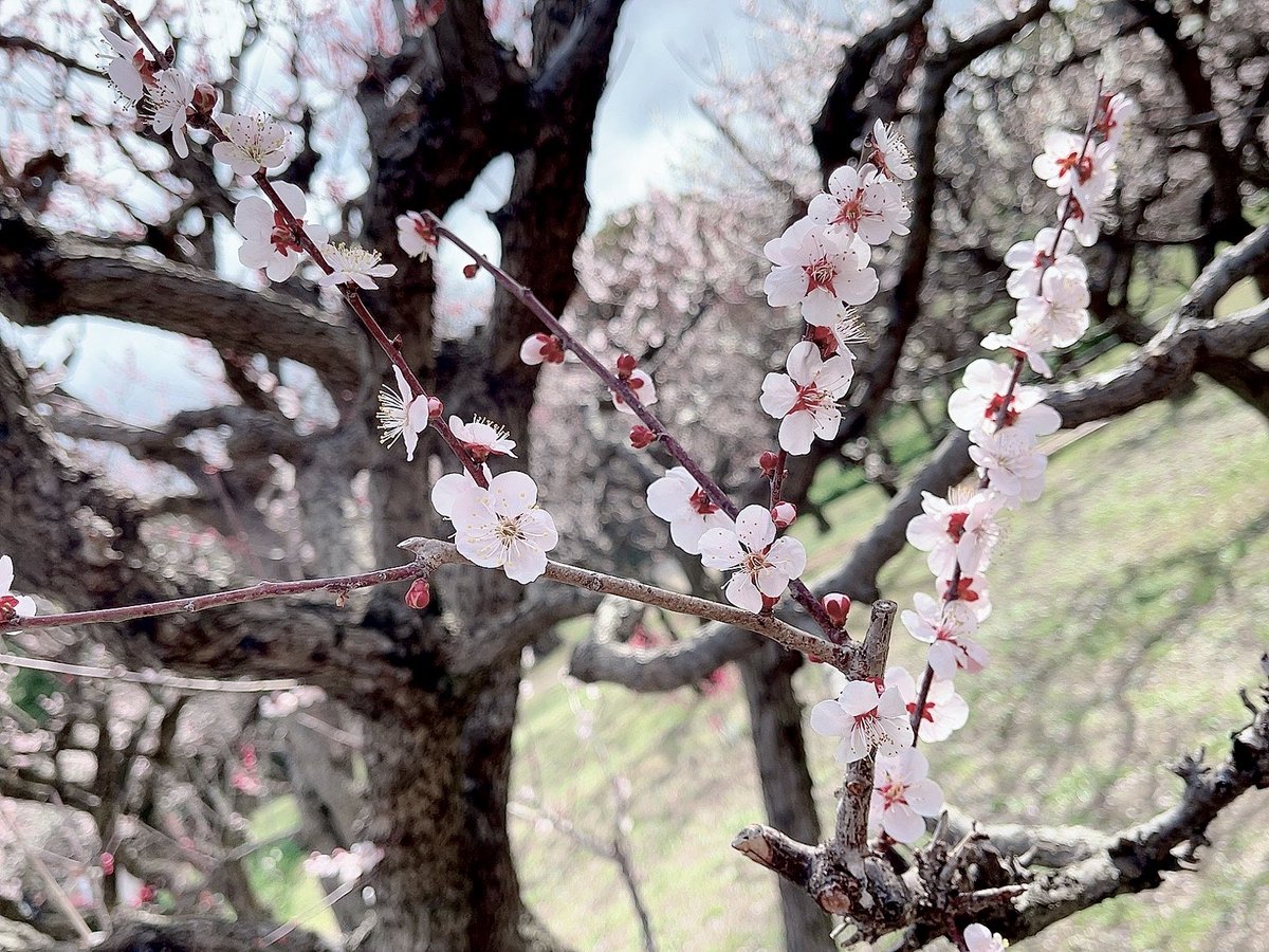 hyper_chbn's tweet photo. 生存確認 https://t.co/AHu1QycSk7