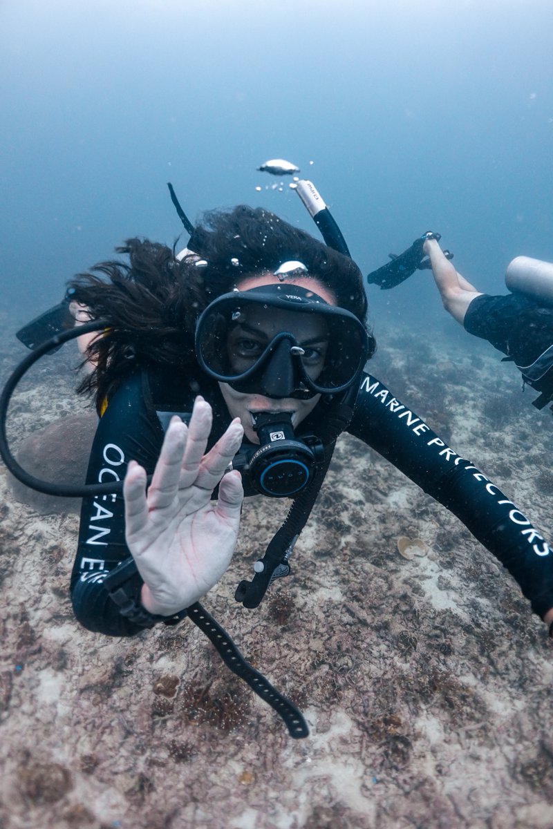 blackturtledive's tweet photo. Koh Tao provides all this and more at a variety of dive sites ranging from shallow coral reefs, located within the island’s beautiful bays, to deeper outlying granite pinnacles. https://t.co/L6Ys3vi6yL #PADI #Diving #KohTao #Scuba #FunDive https://t.co/dyvqy8BxWj
