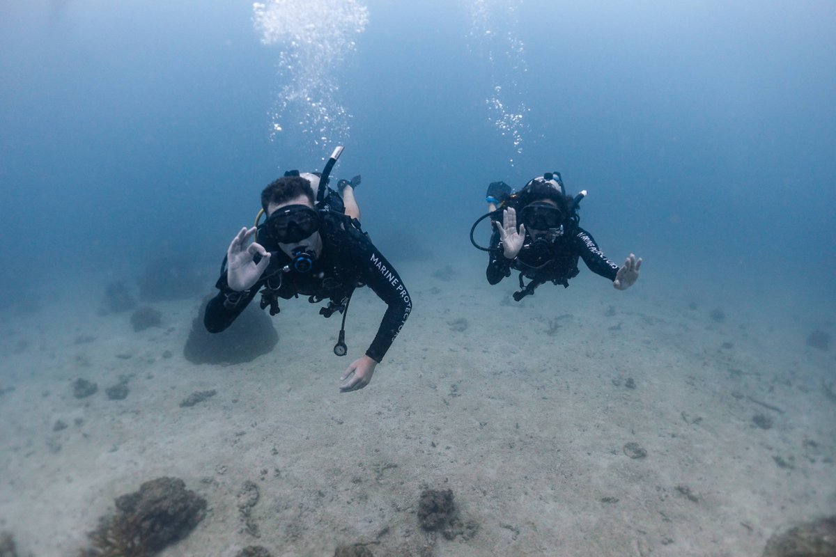 blackturtledive's tweet photo. Koh Tao provides all this and more at a variety of dive sites ranging from shallow coral reefs, located within the island’s beautiful bays, to deeper outlying granite pinnacles. https://t.co/L6Ys3vi6yL #PADI #Diving #KohTao #Scuba #FunDive https://t.co/dyvqy8BxWj