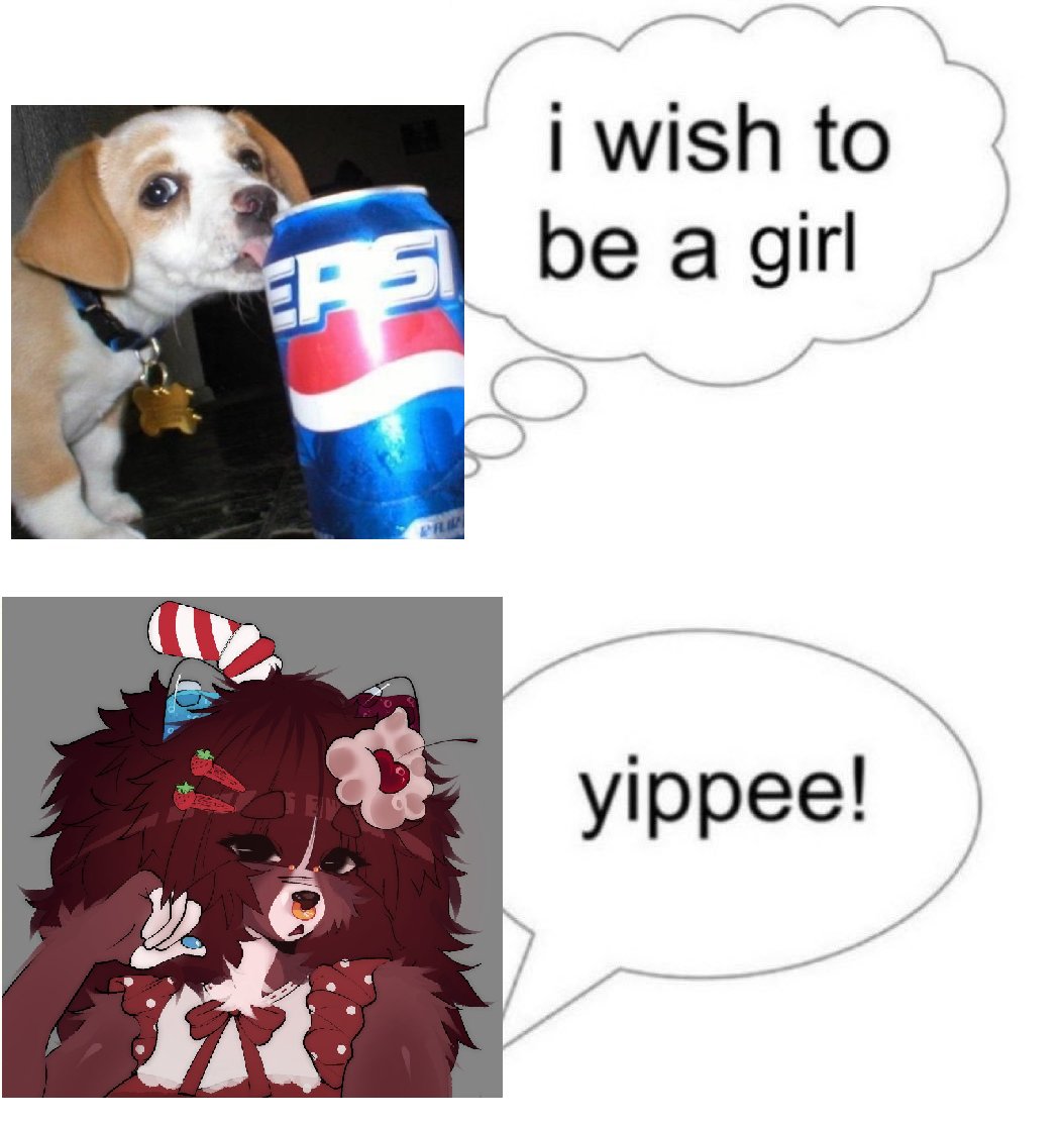 🐾 》Bubble tweet media