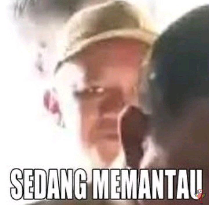 UNICEMFS tweet media