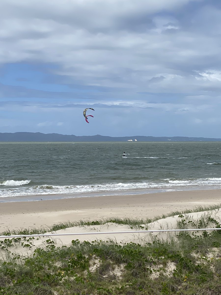 roamingfox | Alma tweet media