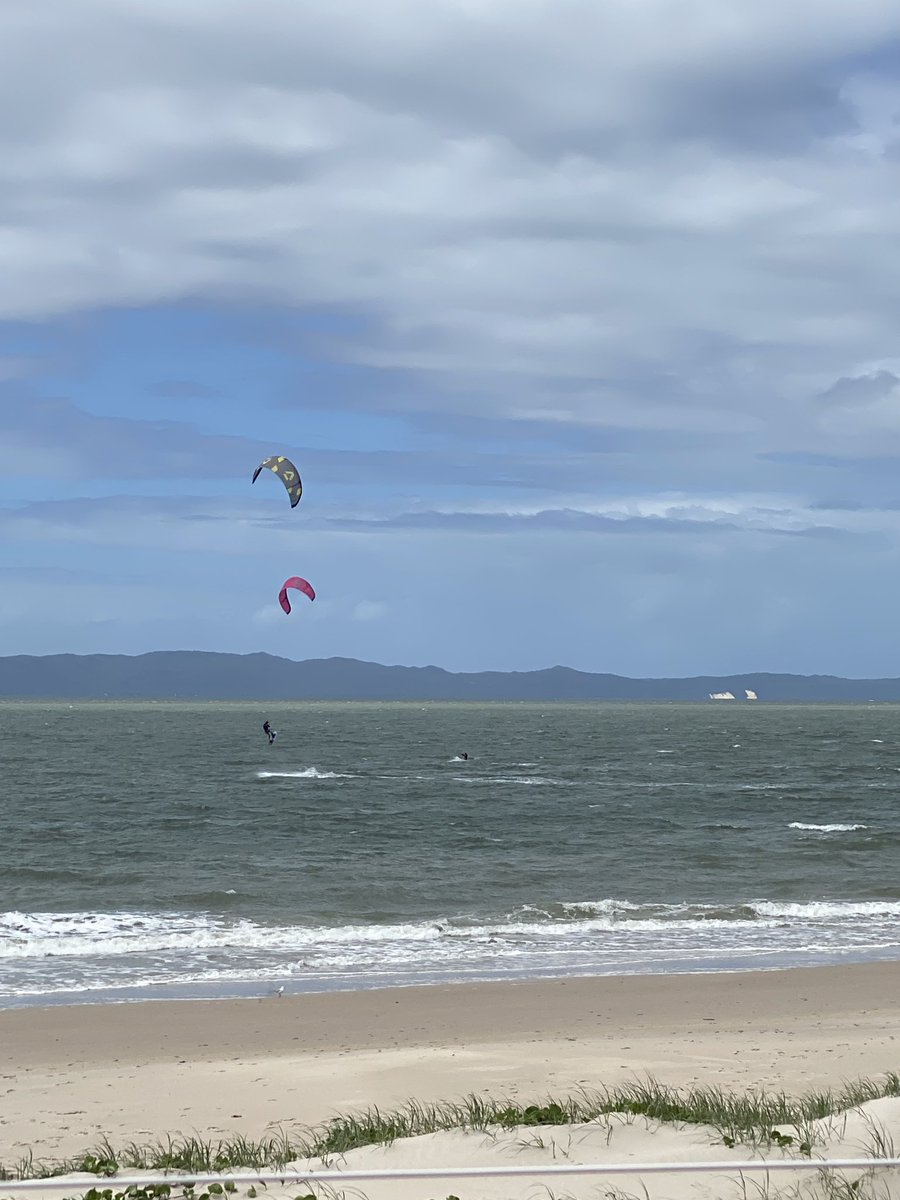 roamingfox | Alma tweet media