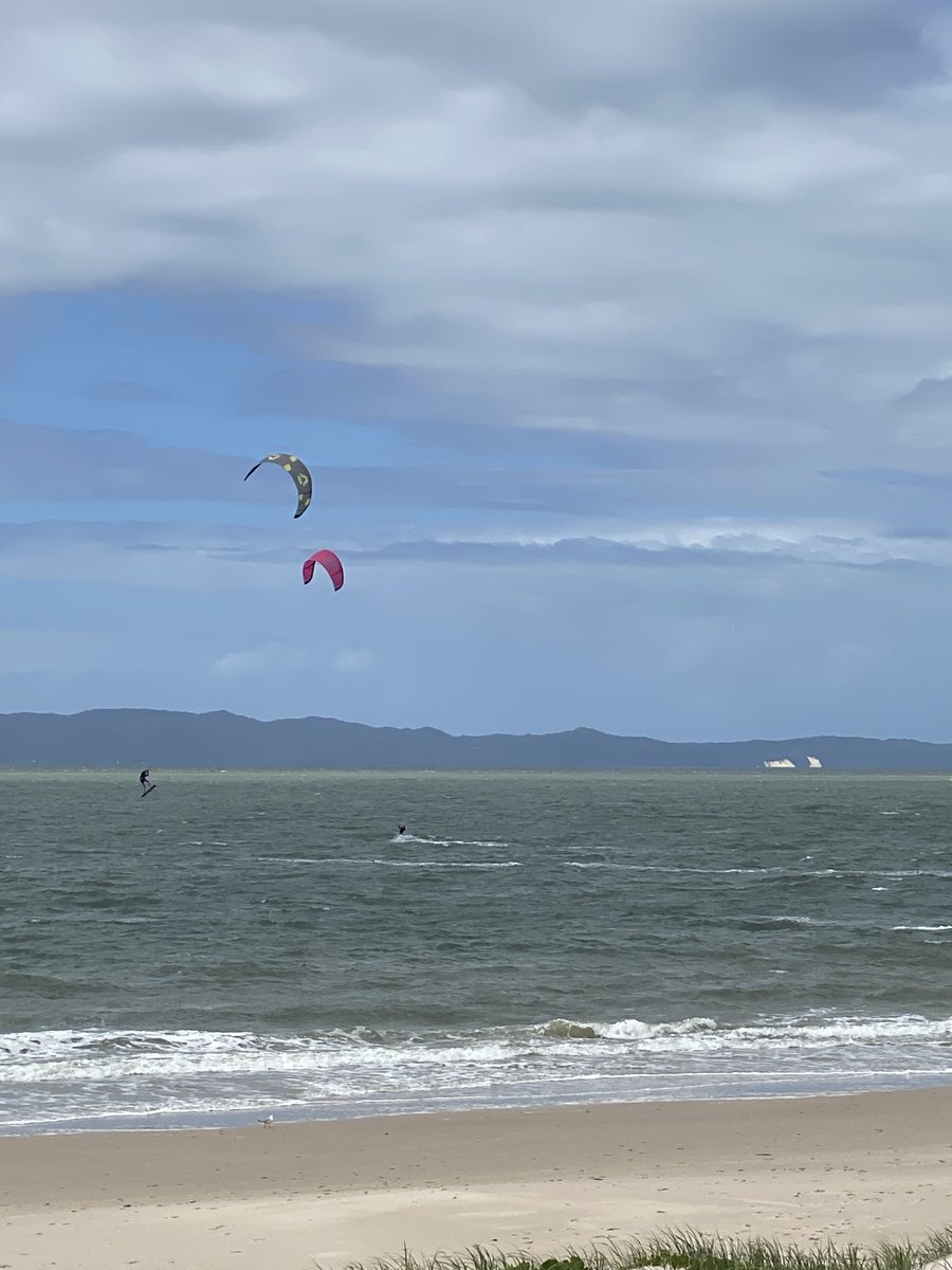 roamingfox | Alma tweet media