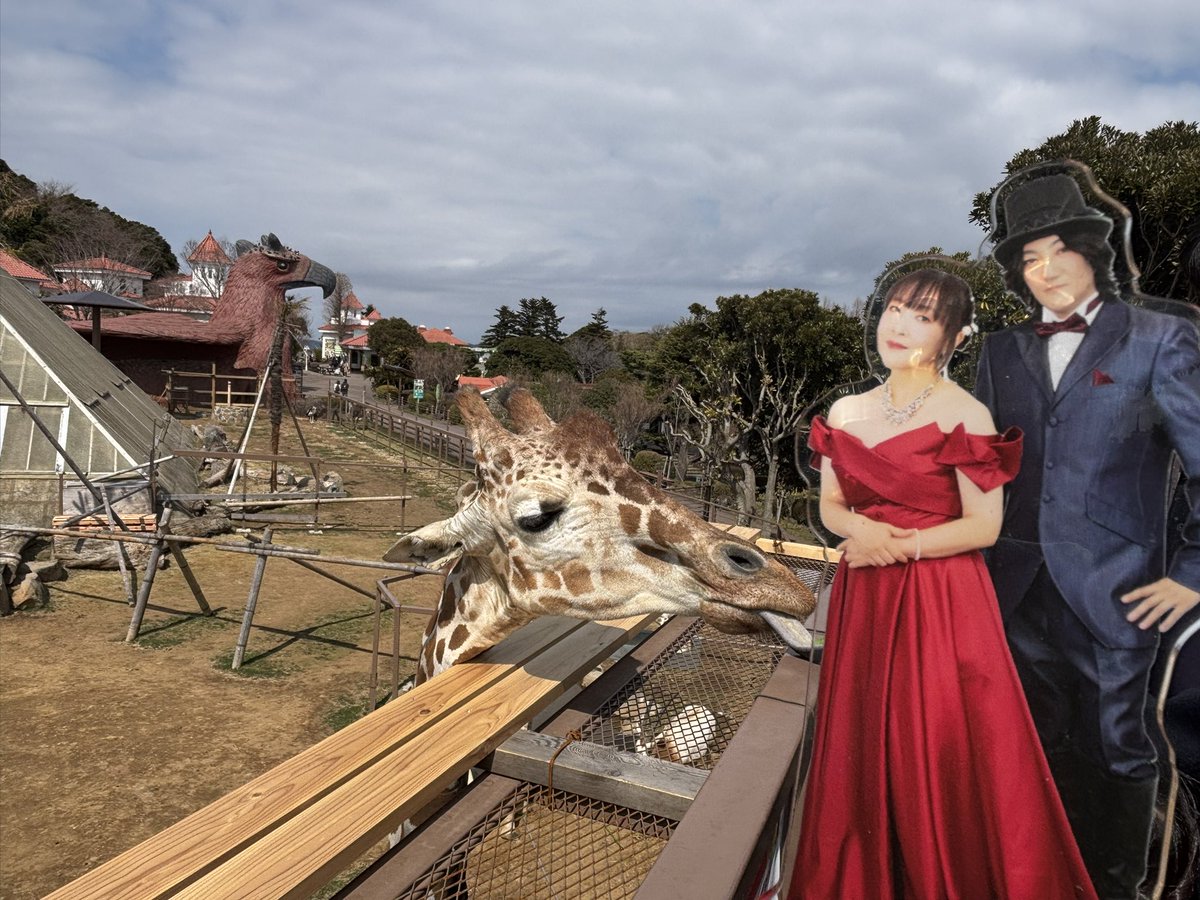 yosemite_abc's tweet photo. いろんな動物たちに会えました
(*´∀`)♪

#angela_jpn
#家族旅行5
#伊豆シャボテン動物公園 https://t.co/XkjzD3H1Tu