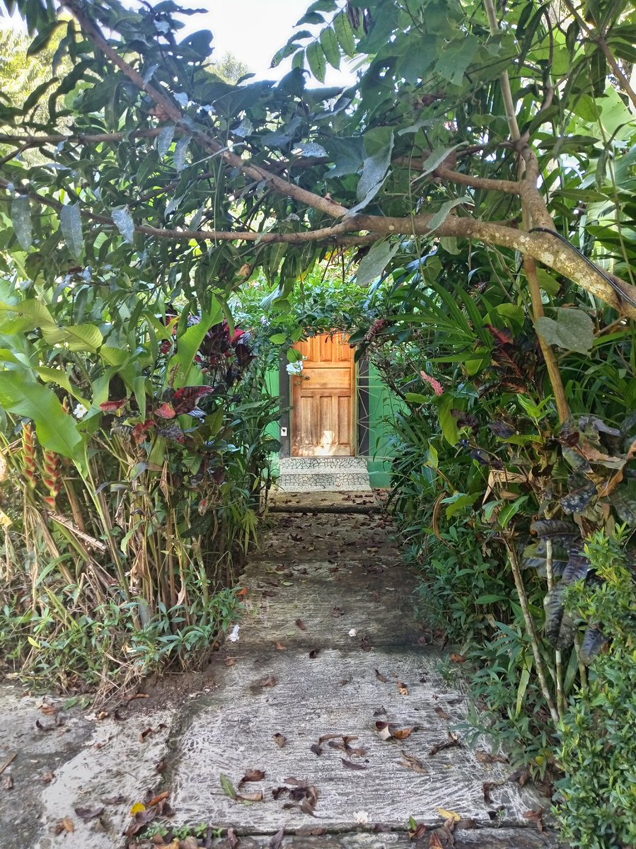 SmokinLove₿ill🌴🐒🍺🟠🥓🥩🍖🍗 tweet media