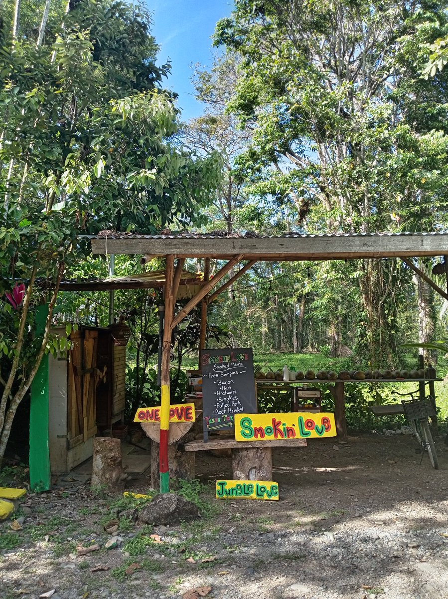 SmokinLove₿ill🌴🐒🍺🟠🥓🥩🍖🍗 tweet media