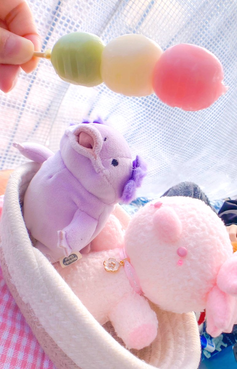人生初！3色団子を食べました✨

今までお団子=みたらし団子で、
3色団子を買ったことがなくて｡｡｡
初めて買って食べたら美味しくて
すっかり好きになりました💖
🍡(๑´ㅂ`๑)💕

せっかくなのでみんなで📸

#ぬいパシャ