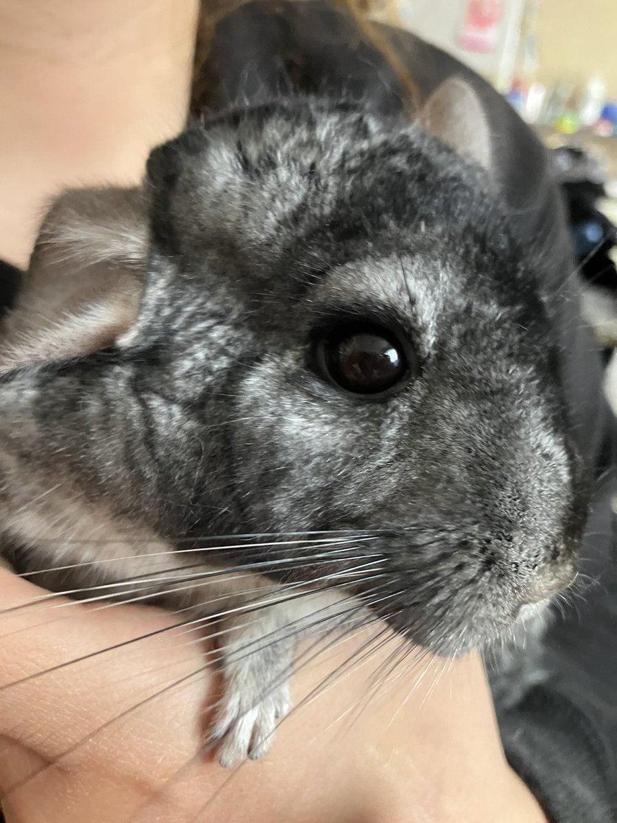 kaori4666 tweet media