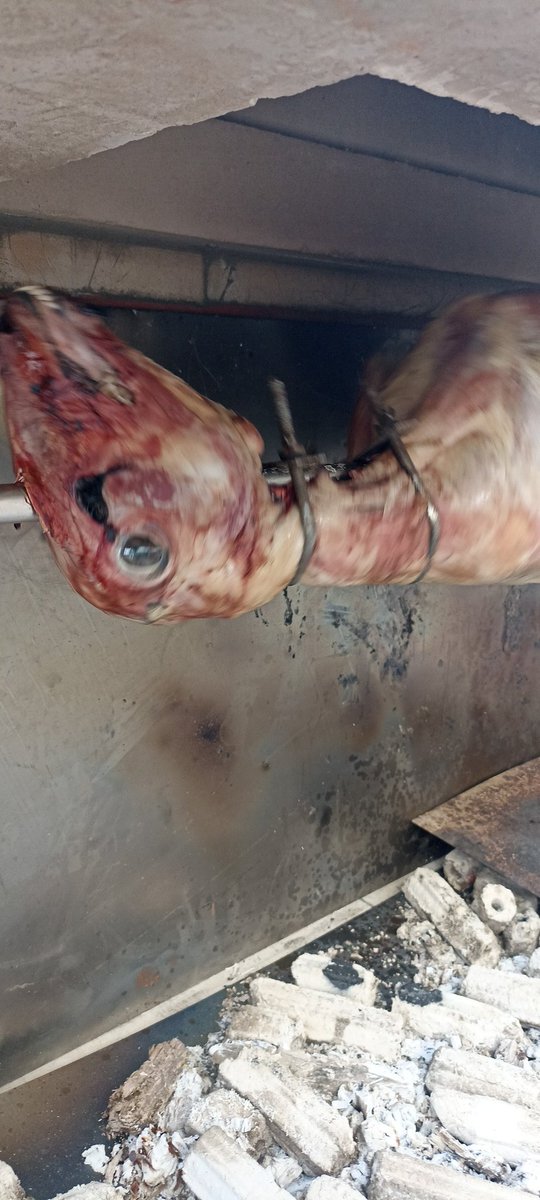 thomas vol tweet media