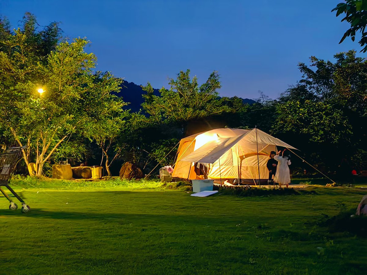 The lnnor CiroIa Trcdar tweet media