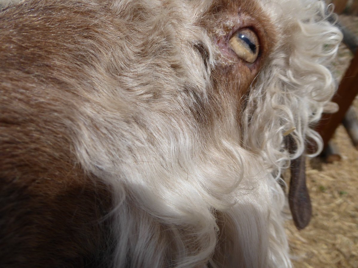 Family Well Traveled tweet media