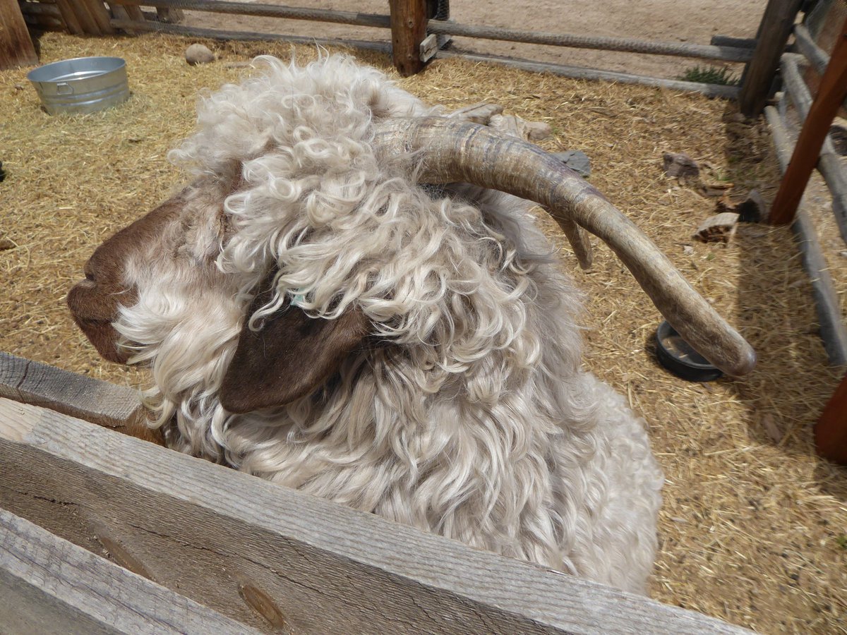 Family Well Traveled tweet media