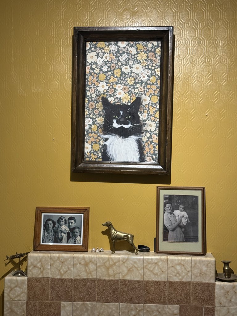 Sarah Evans tweet media