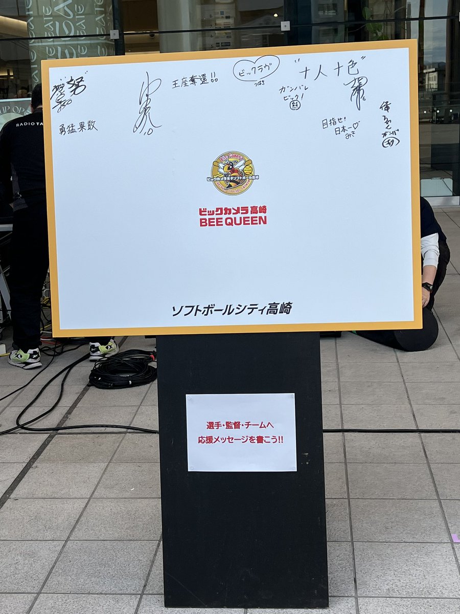 ビックカメラ女子ソフトボール高崎 tweet media