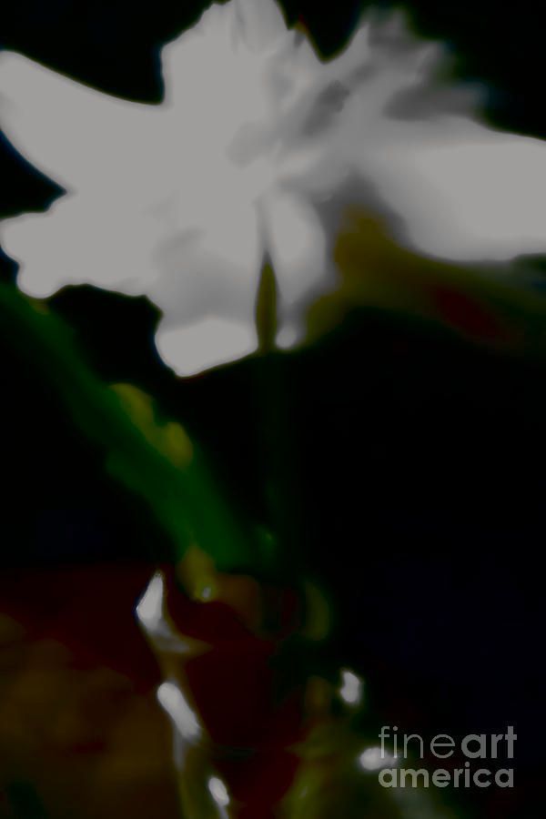 photographervin's tweet image. #WHITE #TULIP
 alexander-vinogradov.pixels.com/featured/the-w…
#spring #nature #art #flowers #love #peace #floral #garden #botanical #AlexanderVinogradovphotography #giftideas #BuyIntoArt #ayearforart #wallart #homedecor #interiordesign #artforsale #artprints #photography #fineartphotography