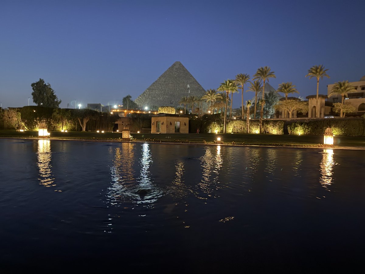 David Savitt tweet media