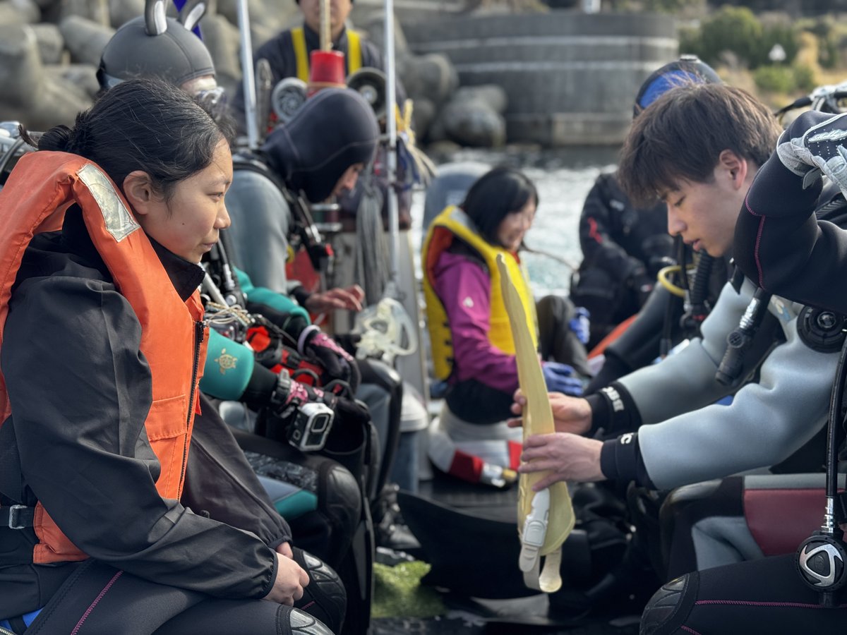 KYamafune's tweet photo. セイコープロスペック水中考古学フィールドスクール2026 in 初島 Photosその3📷
写真：戸村裕行 https://t.co/Iki4TwrJiC