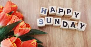 City of Tshwane tweet media