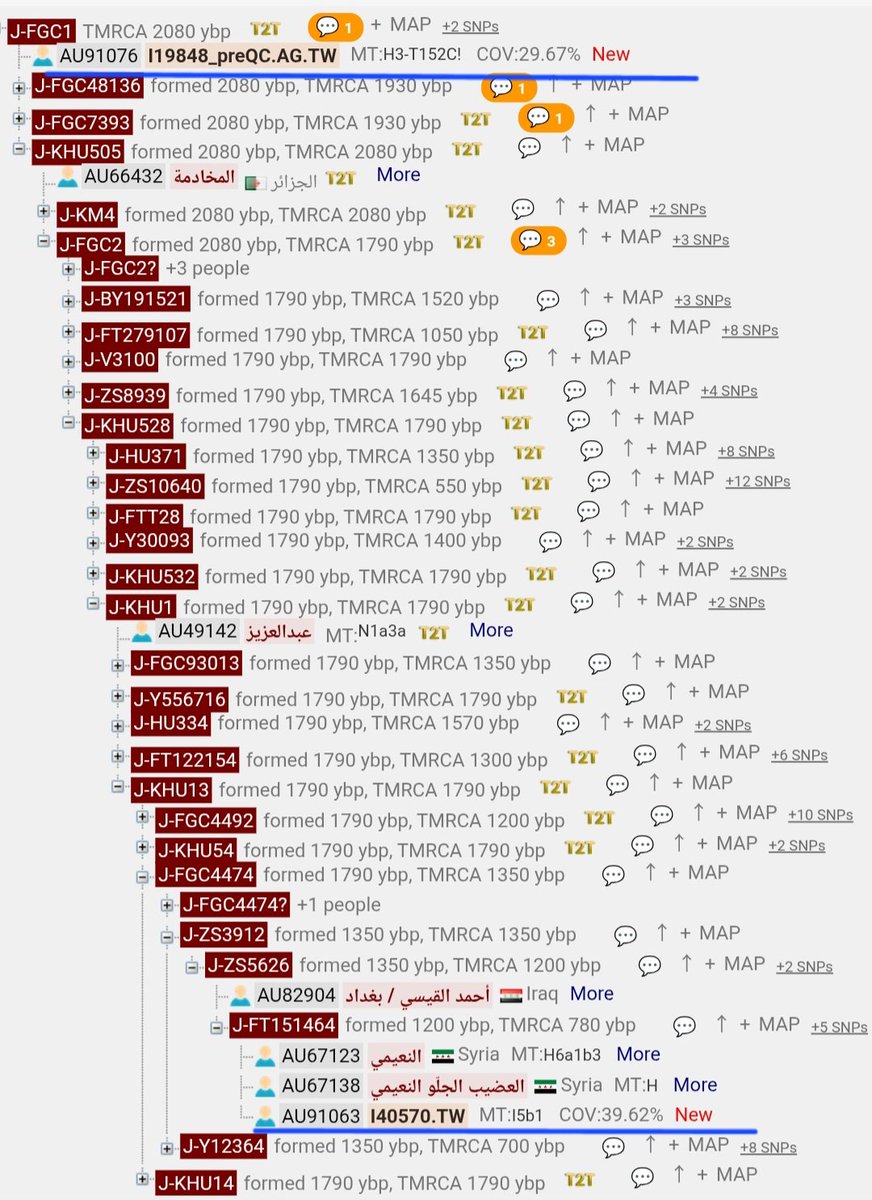 تم رفع عينات الرفاة التي اسفل FGC1695 الى الشجرة الصينيه بعد التواصل معهم وطلب رفعها بأسرع وقت ممكن
وهكذا مواقعها في الشجرة الجينيه كما هو موضح في الصور

theytree.com/tree/J-FGC4415

هذا رابط التحور FGC4415 للاطلاع

theytree.com/?snp=FGC1
وهذا رابط التحور FGC1 للأطلاع
<a href="/AlazaniSalah/">صلاح العزاني | 𐩮𐩡𐩱𐩢 | 𐩱𐩡𐩲𐩸𐩱𐩬𐩺</a>