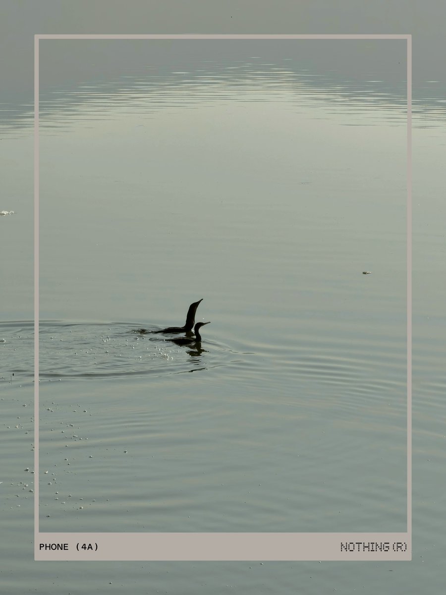 Sanju Choudhary tweet media