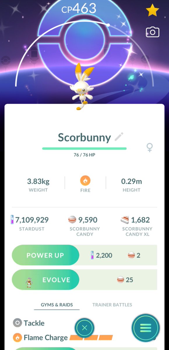 Inaba🇨🇦@5/28~日本 tweet media