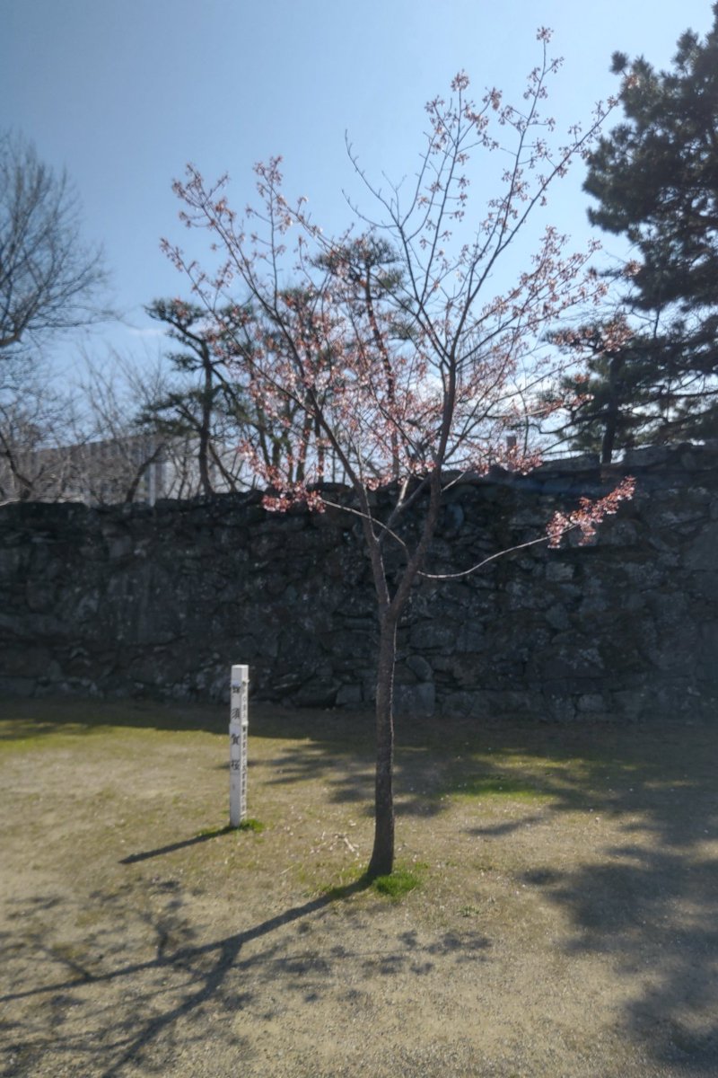 kousuke_gtsr's tweet photo. 公園からの
大判焼きからの
クリッパーで
帰宅。 https://t.co/icC5Pw5rWb