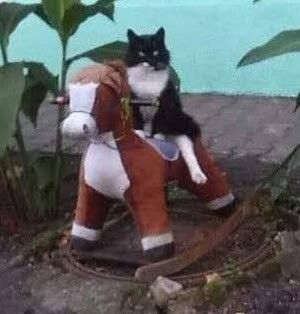 Brandon ッ tweet media