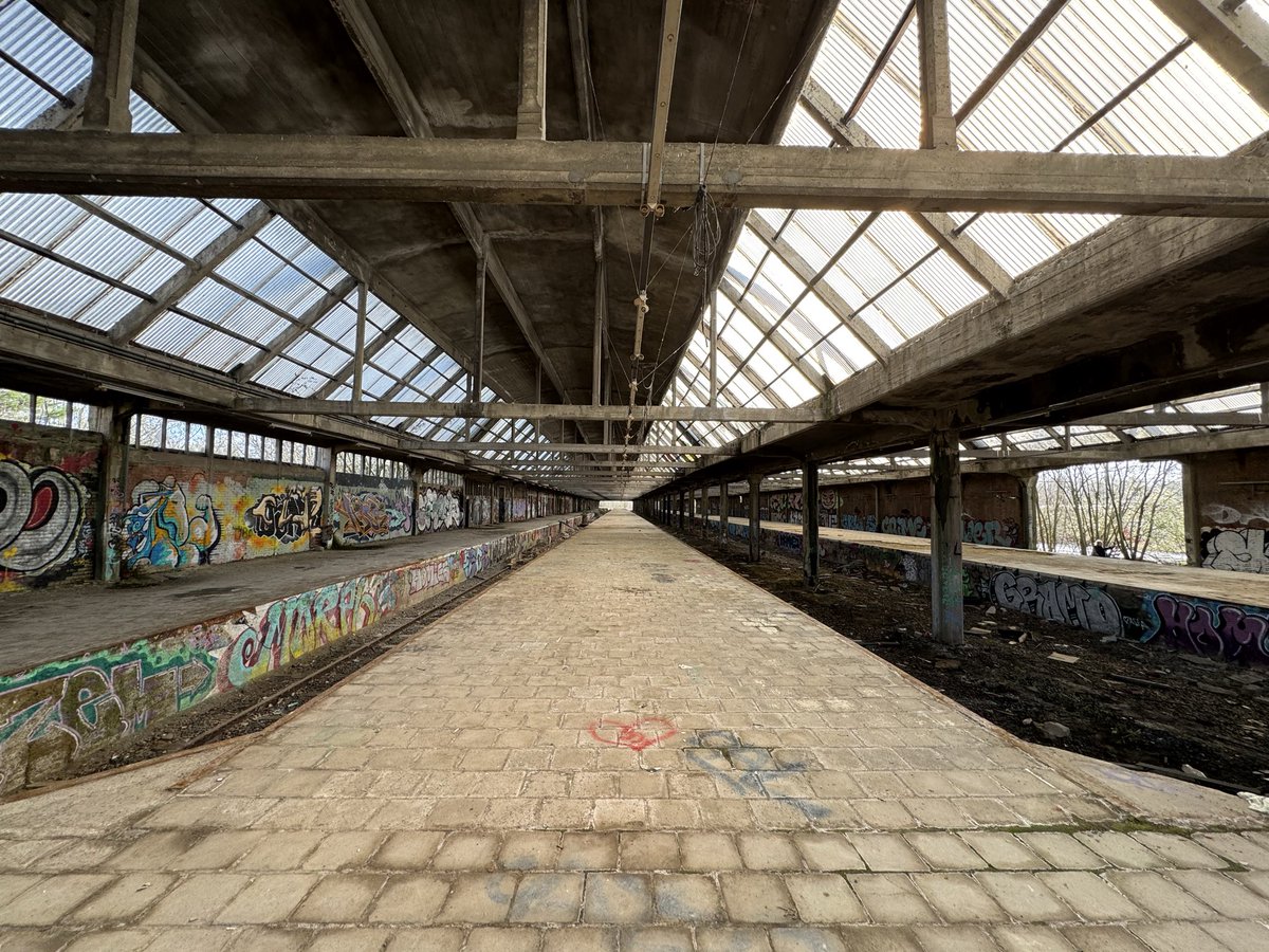 Harry Gerritsen tweet media