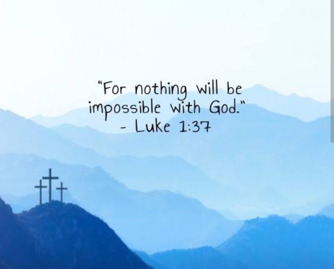 REX D∆V£ tweet media