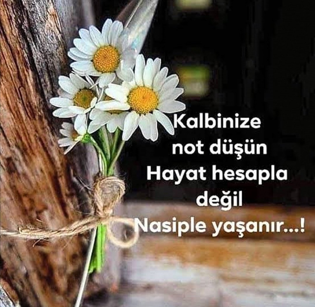 KayacHulya07's tweet photo. Dünleri konuşarak kafanı Rahatlatamassin.
Bırak akışına gitsin hayat 

#pazar https://t.co/Sp8OvcHGbg