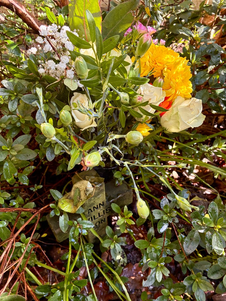 Tony Warne tweet media